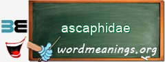 WordMeaning blackboard for ascaphidae